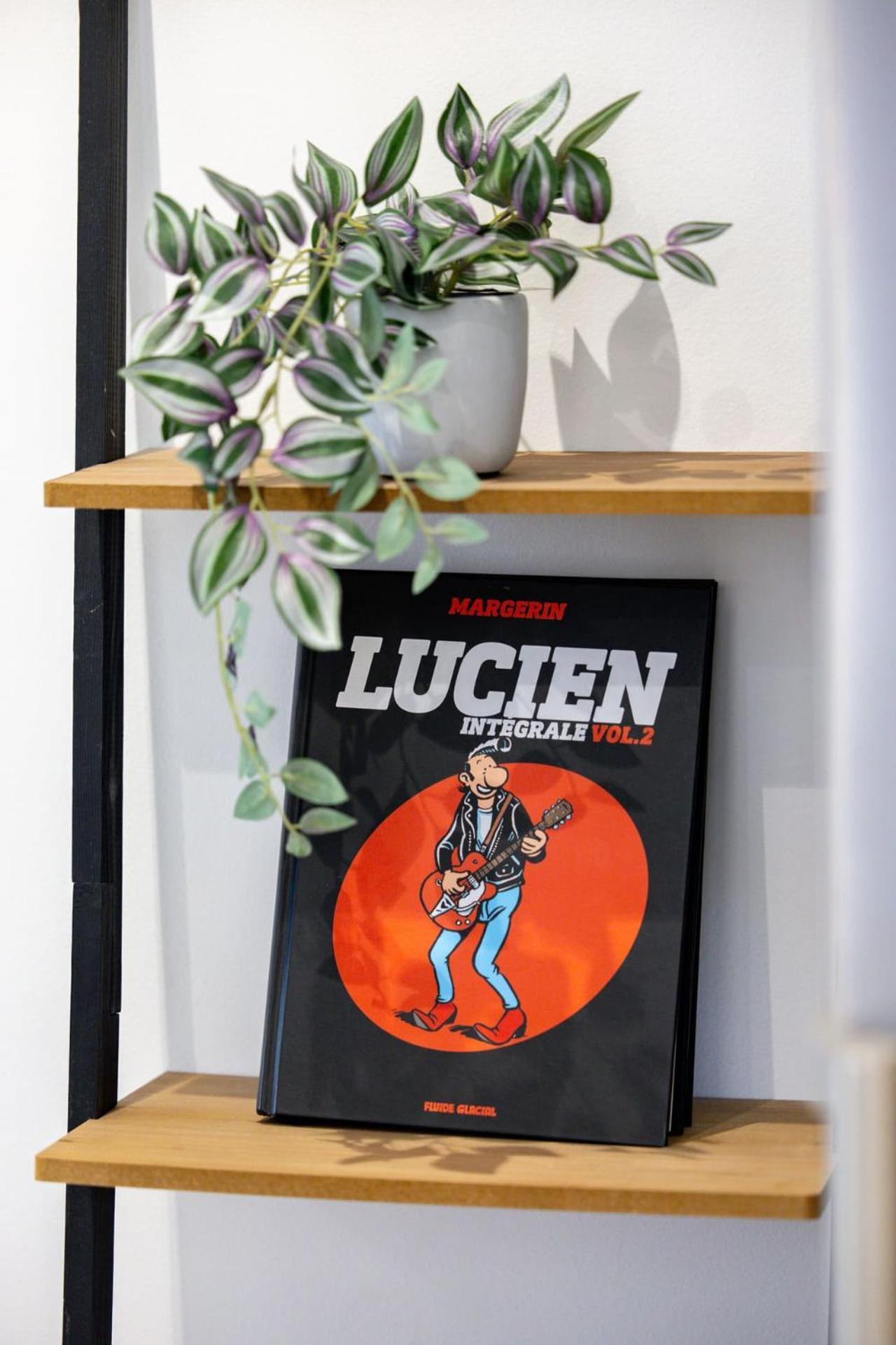 Le Lucien Eco-Appart'Hotel - Angouleme - Centre - Wifi - Parking Prive - Classe 4 Etoiles エクステリア 写真