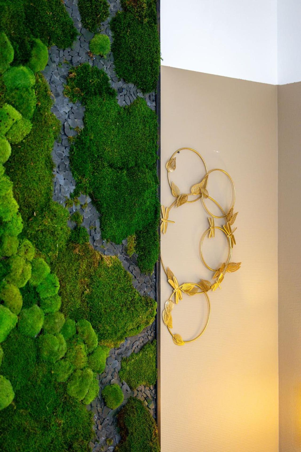 Le Lucien Eco-Appart'Hotel - Angouleme - Centre - Wifi - Parking Prive - Classe 4 Etoiles エクステリア 写真